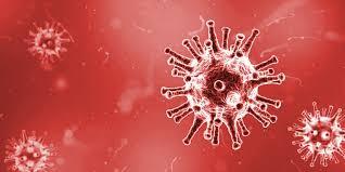 trasplante capilar vih