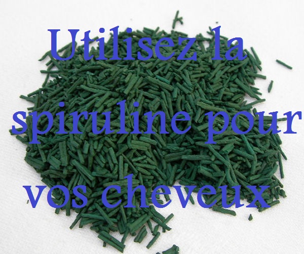 Masque spiruline pour les cheveux